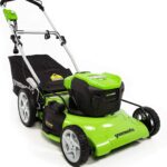 tondeuse de gazon électrique