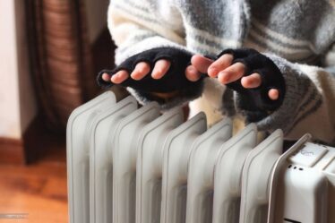 radiateur électriques