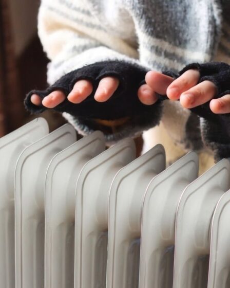 radiateur électriques