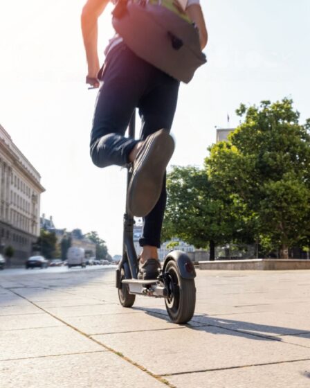 Trottinettes électriques pour adultes